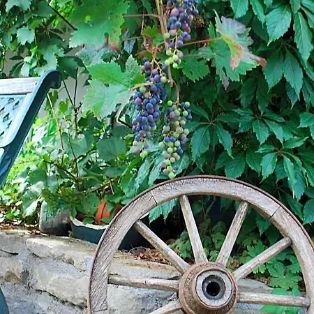 Zehnthof *
