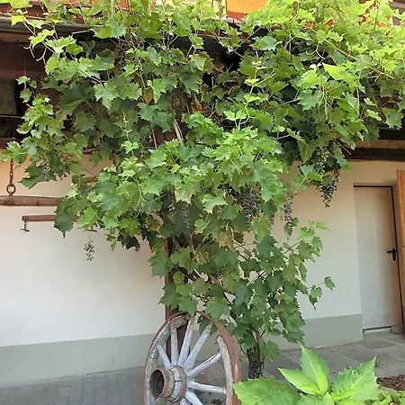 Inn Zehnthof