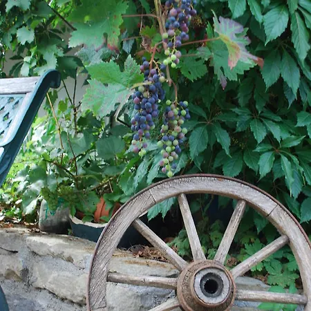 Zehnthof Locanda
