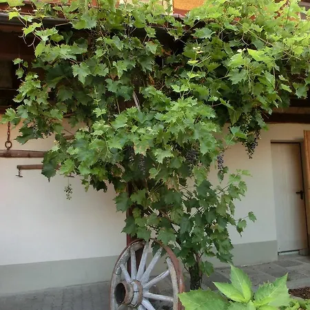 Zehnthof Locanda Geldersheim